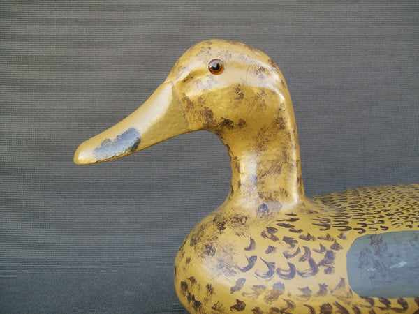 James Pollitt Mallard Hen - Illinois River