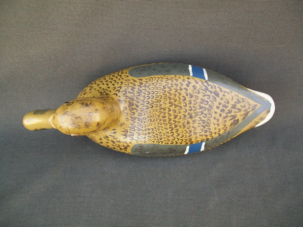 James Pollitt Mallard Hen - Illinois River