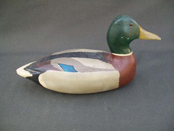 Hollow Mallard Drake- Wing Feather Duck Club #21  (#2599)