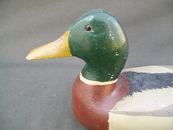 Hollow Mallard Drake- Wing Feather Duck Club #21  (#2599)