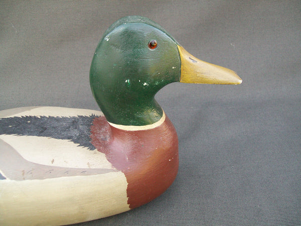 Hollow Mallard Drake- Wing Feather Duck Club #21  (#2599)