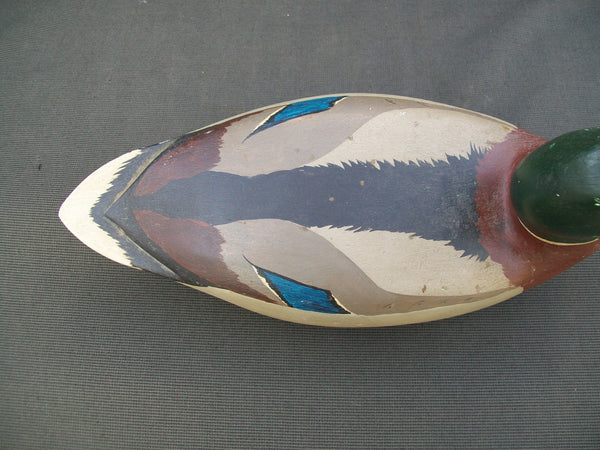 Hollow Mallard Drake- Wing Feather Duck Club #21  (#2599)