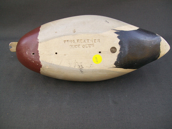 Hollow Mallard Drake- Wing Feather Duck Club #21  (#2599)