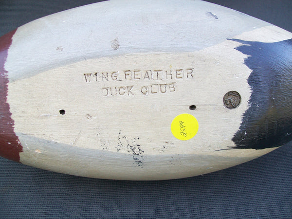 Hollow Mallard Drake- Wing Feather Duck Club #21  (#2599)