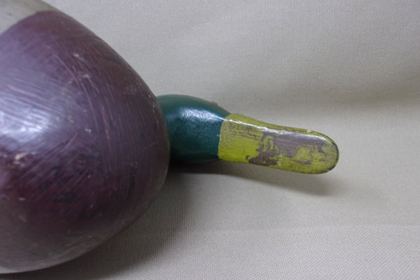 Illinois River Mallard Drake,  over size   (#2601)