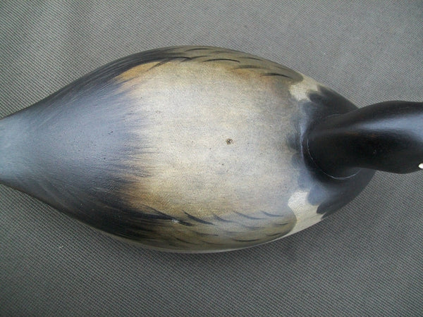 Robert Elliston Blue Bill Drake, Circa 1910  (#2629)