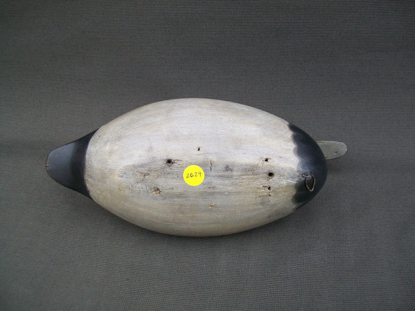 Robert Elliston Blue Bill Drake, Circa 1910  (#2629)