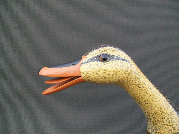 Virgil & Edna Hodge Calling Mallard Hen