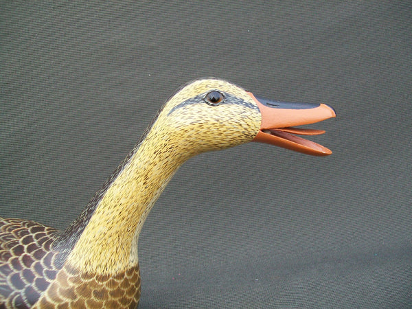 Virgil & Edna Hodge Calling Mallard Hen