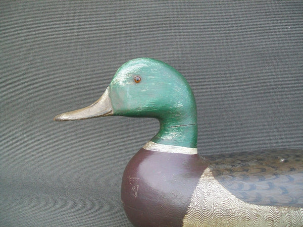 Charles Perdew Restored Mallard Drake- Circa 1920's