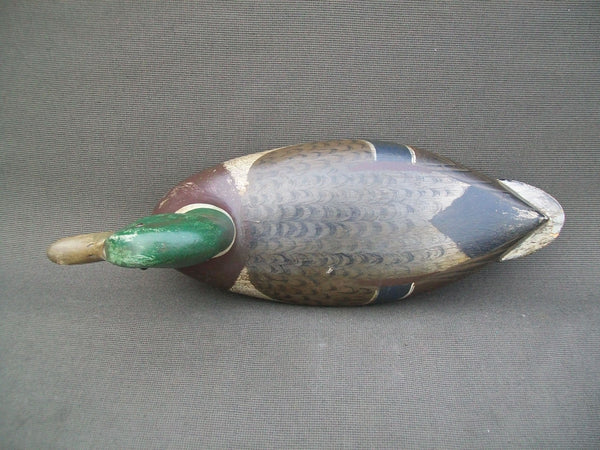 Charles Perdew Restored Mallard Drake- Circa 1920's