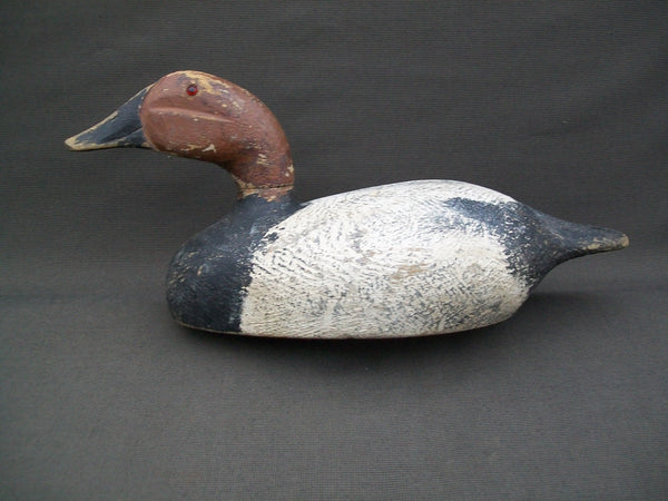 Moak Style Wisconsin Canvasback - Circa 1930's