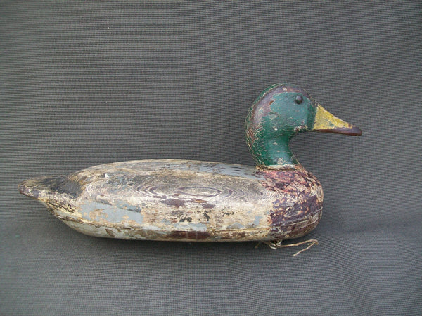 Illinois River Mallard Drake - Hollow, partial O.P.