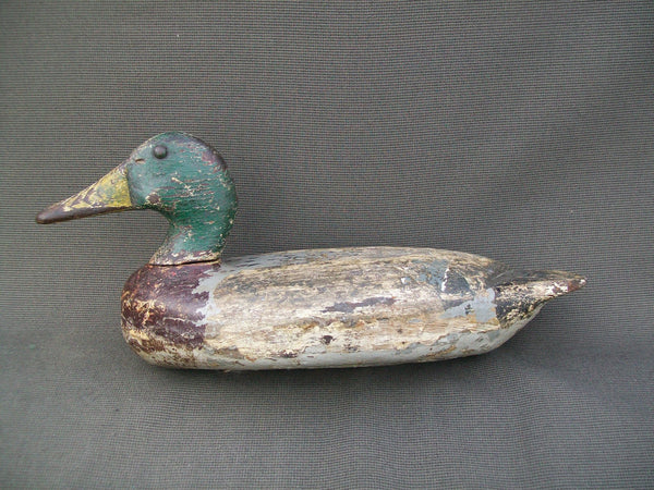 Illinois River Mallard Drake - Hollow, partial O.P.