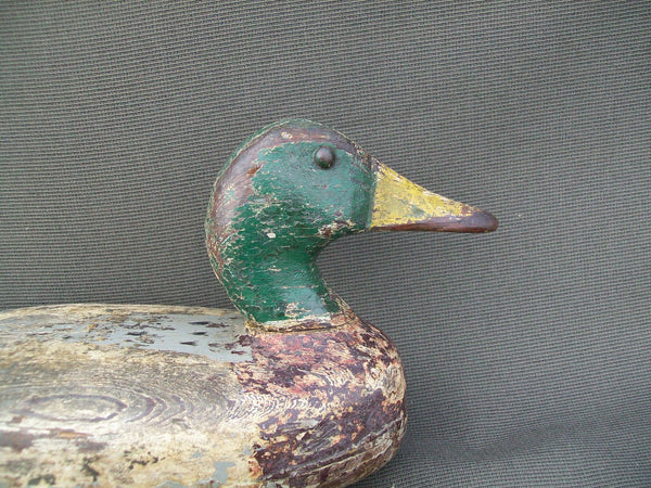 Illinois River Mallard Drake - Hollow, partial O.P.