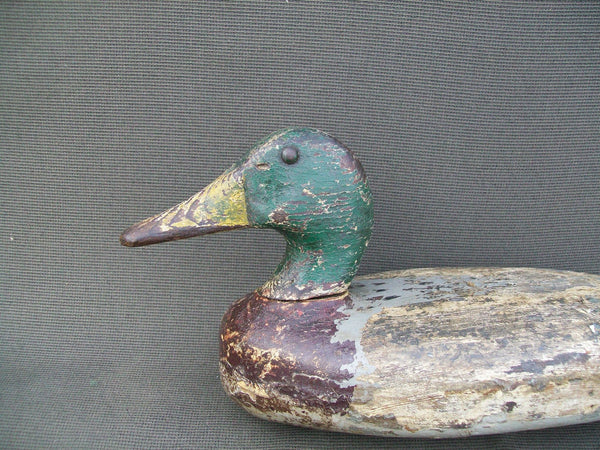 Illinois River Mallard Drake - Hollow, partial O.P.