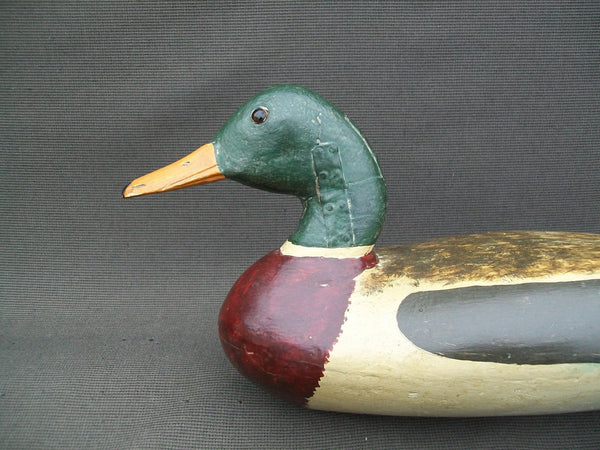 Fred Coleman Mallard Drake - Circa 1940's  (#2666)