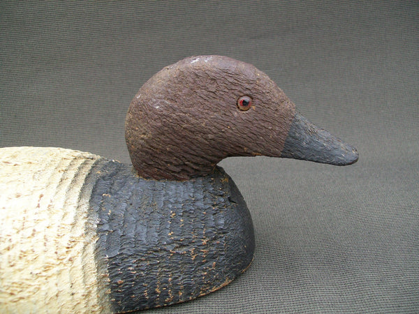 Animal Trap Canvasback Original Paint- Circa 1930's