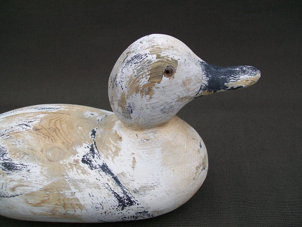 Rare Species- Mason Old Squaw