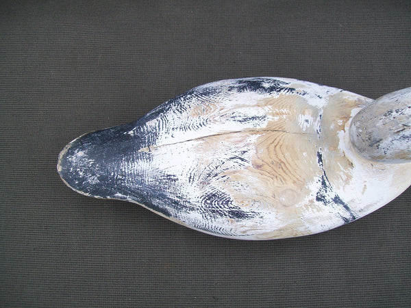 Rare Species- Mason Old Squaw