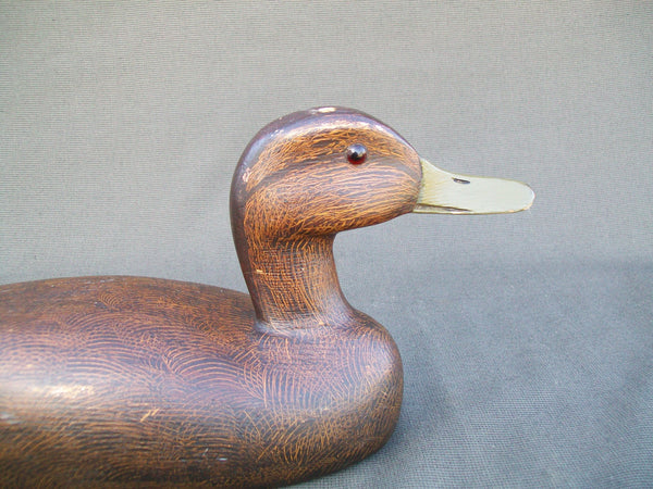 Canadian Blackduck - Original Paint, Circa 1940's