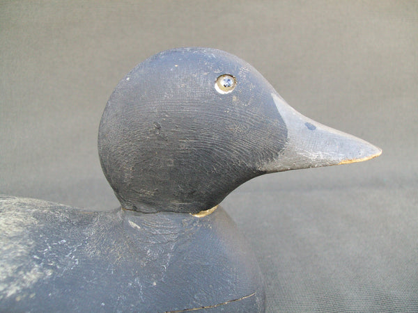 Mason Blue Bill, Original Paint (#2748)