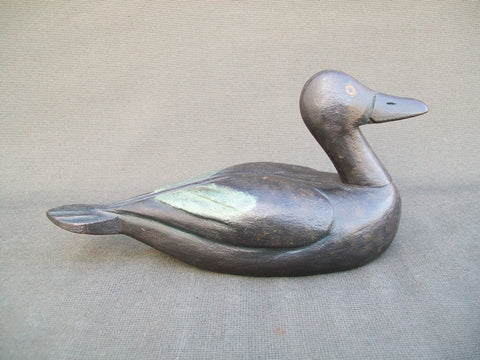 Quebec Blue Wing Teal Hen (#2749)