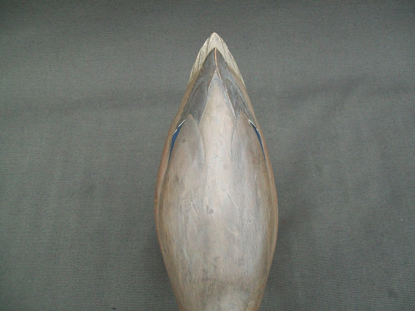 Ron Sabatini Mallard Hen, Drinking position