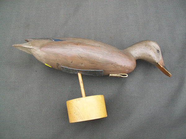 Ron Sabatini Mallard Hen, Drinking position