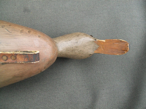 Ron Sabatini Mallard Hen, Drinking position
