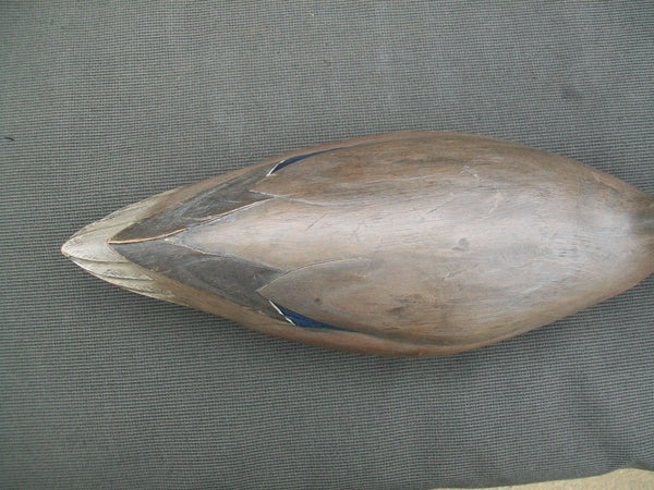 Ron Sabatini Mallard Hen, Drinking position
