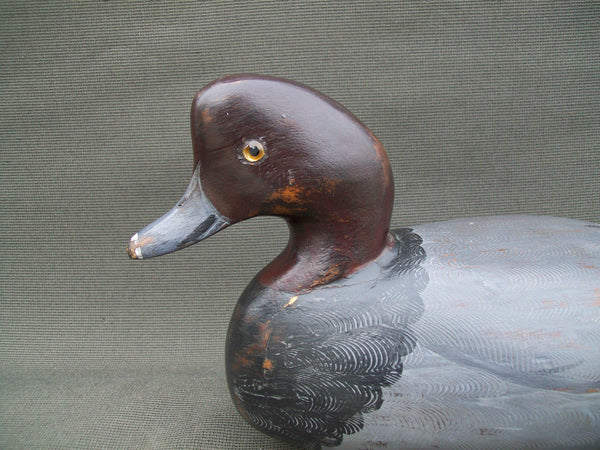 Charles Moore Red Head Drake  (#2803)