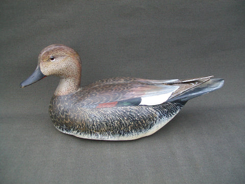 L.T. Torry Ward Drake Gadwall- Manitoba, Canada