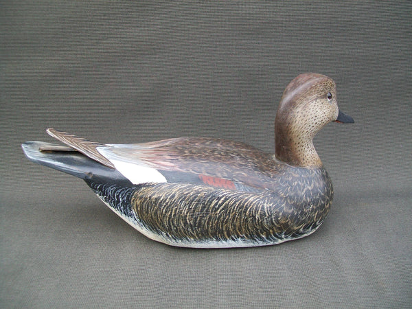 L.T. Torry Ward Drake Gadwall- Manitoba, Canada