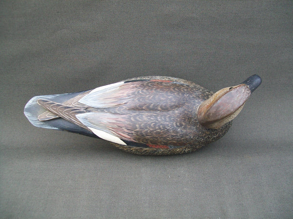 L.T. Torry Ward Drake Gadwall- Manitoba, Canada