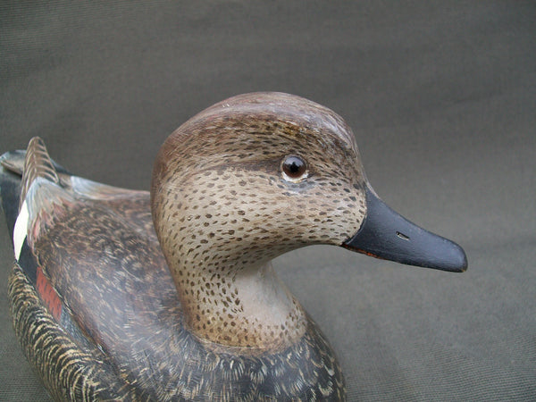 L.T. Torry Ward Drake Gadwall- Manitoba, Canada
