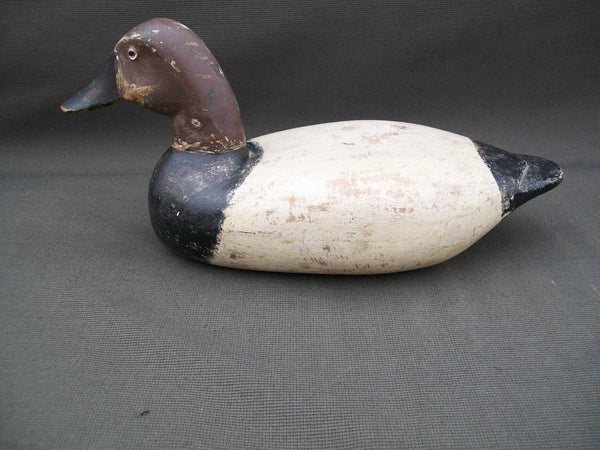 Illinois River Canvasback Drake- mostly original paint- Circa 1920's