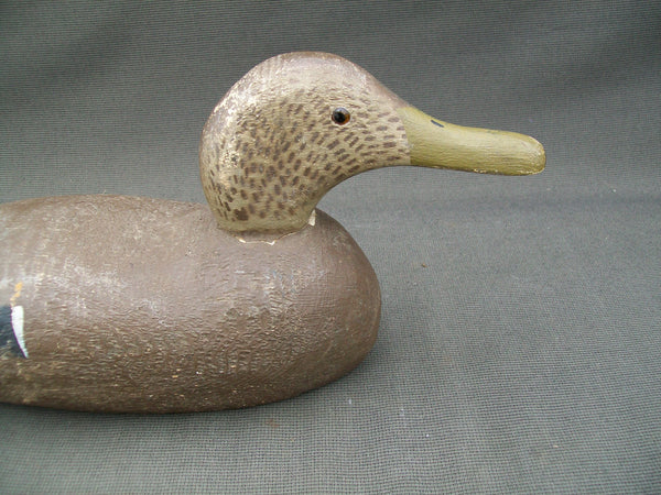 Tuveson Decoy Co. Blackduck Drake Circa 1940's  (#2825)