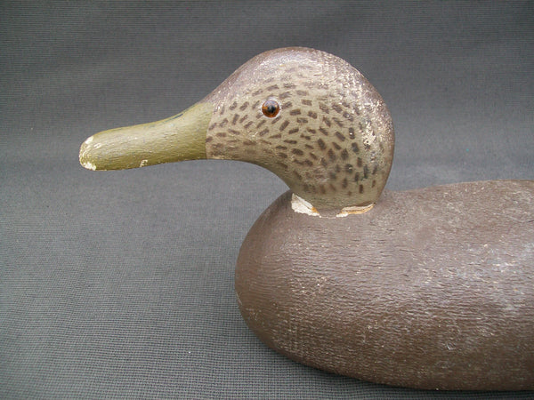 Tuveson Decoy Co. Blackduck Drake Circa 1940's  (#2825)