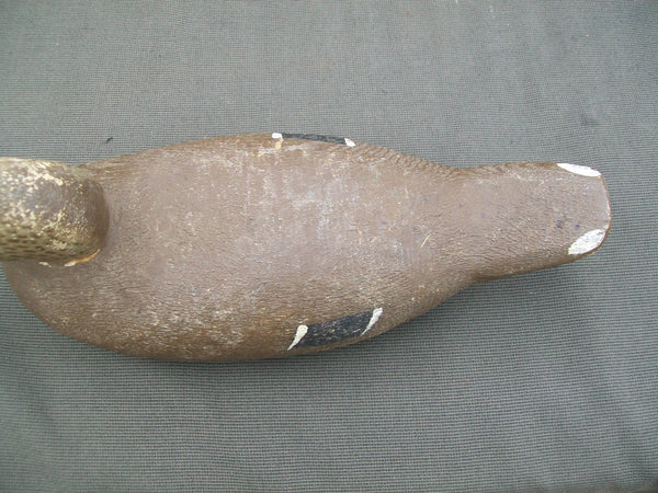 Tuveson Decoy Co. Blackduck Drake Circa 1940's  (#2825)