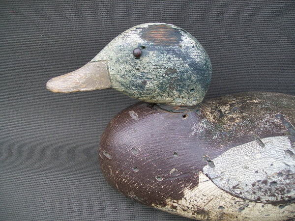 West Coast Dodge Widgeon Tackeye- Mostly O.P.   (#2831)