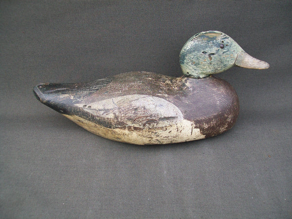 West Coast Dodge Widgeon Tackeye- Mostly O.P.   (#2831)