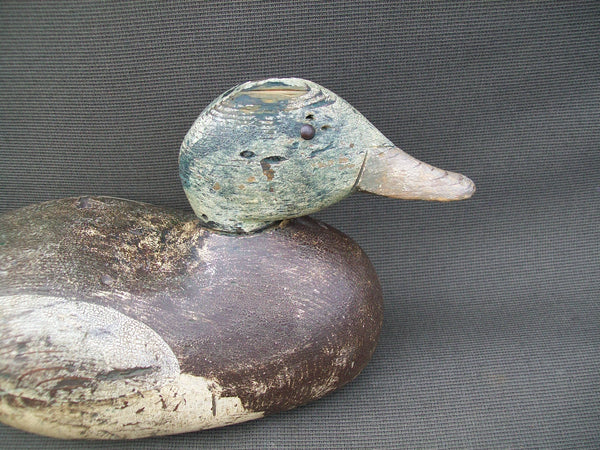 West Coast Dodge Widgeon Tackeye- Mostly O.P.   (#2831)