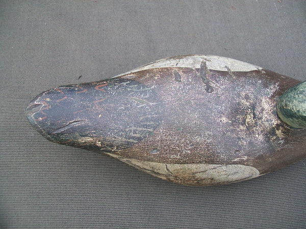 West Coast Dodge Widgeon Tackeye- Mostly O.P.   (#2831)