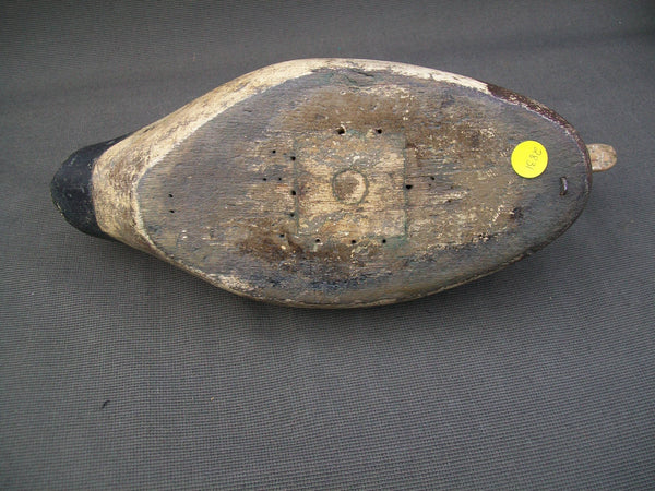 West Coast Dodge Widgeon Tackeye- Mostly O.P.   (#2831)