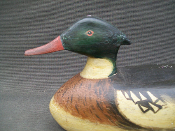 Red Breasted Merganser- Lester Van Brunt, Barnegat, N.J.  Circa 1935   (#2832)