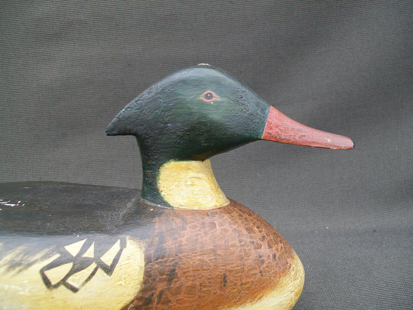 Red Breasted Merganser- Lester Van Brunt, Barnegat, N.J.  Circa 1935   (#2832)