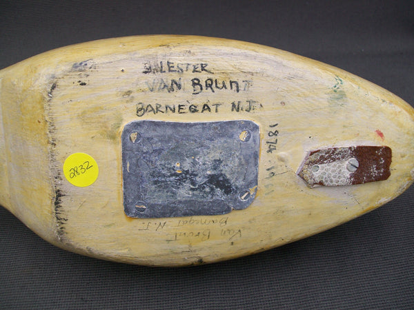 Red Breasted Merganser- Lester Van Brunt, Barnegat, N.J.  Circa 1935   (#2832)