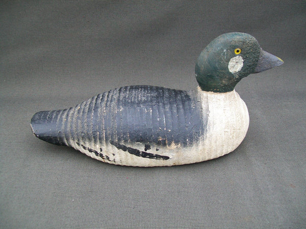 Victor Golden Eye Drake Excellent, Original Paint