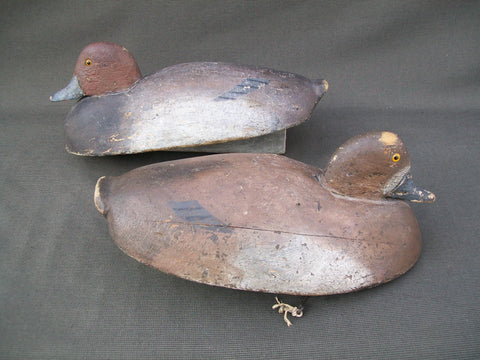 Michigan Redheads Pair- Circa 1920's - St. Clair Flats (#2843)